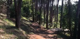 pista de moutain bike olímpico