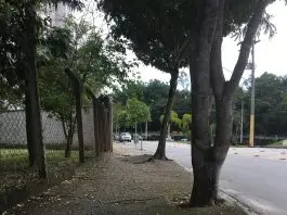 Calçadas-Urbanova