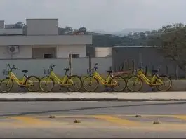 Yellow-Urbanova