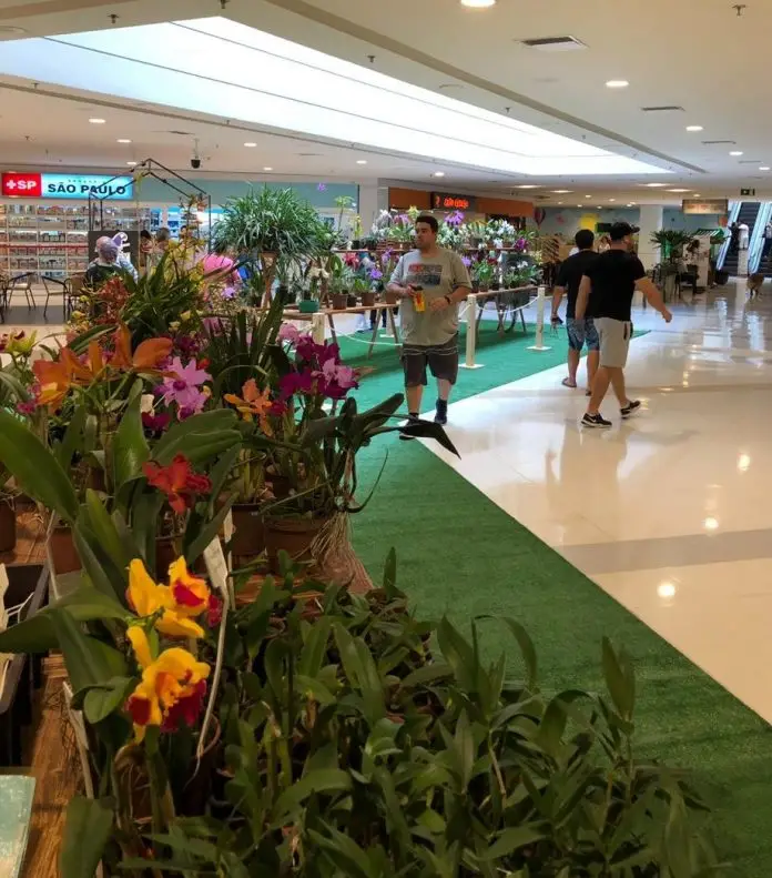 CenterVale Shopping-urbanova