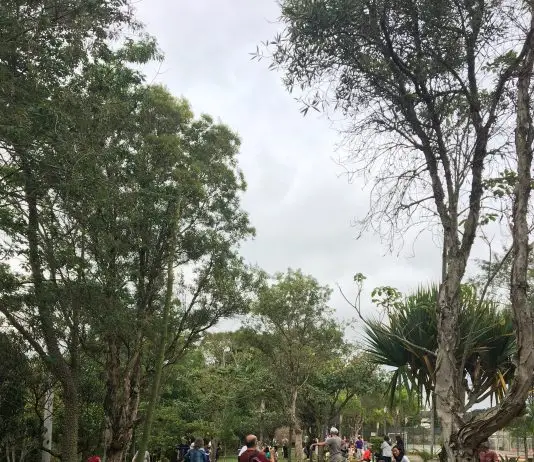 Revista urbanova-urbanova