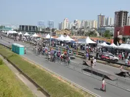 Urbanova