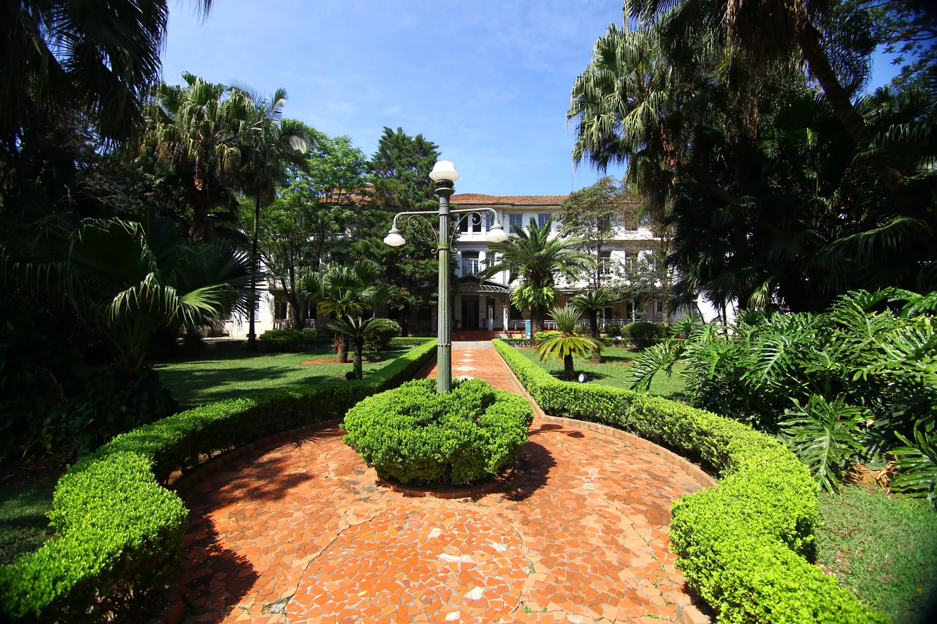 Parque Vicentina Aranha-urbanova