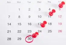 Quais são os três feriados nacionais previstos para o mês de novembro? Confira