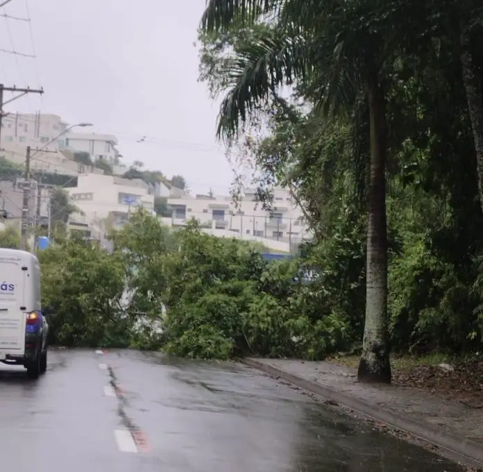 e7d5f24d-8c03-4e45-8c10-c139ca772b24