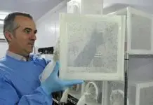 Brasileiro cria mosquito Aedes sem vetor da dengue e entra na lista dos cientistas que mudaram a ciência em 2025