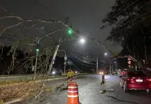 Árvore cai na avenida Linneu de Moura, única via de acesso ao Urbanova, e provoca bloqueio parcial no trânsito