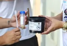 Zona sul de São José recebe armadilhas para monitorar mosquito da dengue