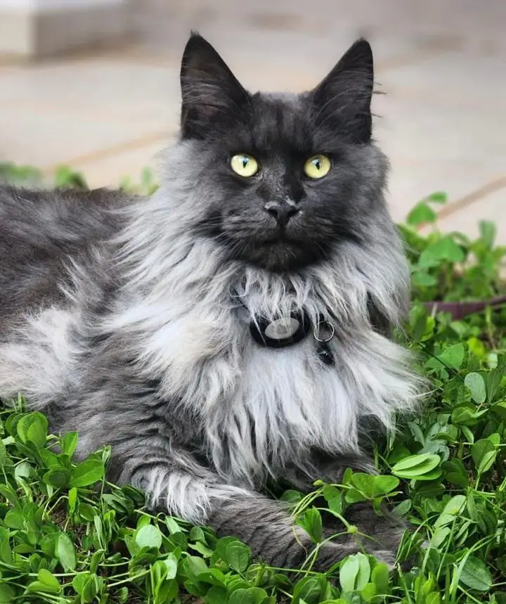 2394188f-08e6-48ec-9463-2c30602ba6b1