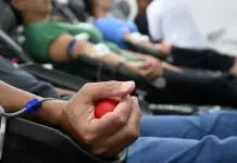 Multas de trânsito podem ser convertidas em doação de sangue em São José