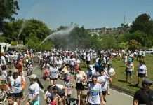 Passeio Solidário em prol do GAIA acontecerá neste domingo no Urbanova. Saiba como participar