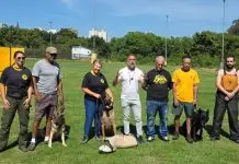 Após ataque que matou idosa, São José abre vagas para treinamento gratuito de cães de grande porte