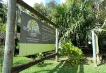 Licitação para concessão do Horto Florestal termina sem vencedores em São José