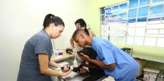 São José abre mil vagas gratuitas para castração e microchipagem de pets