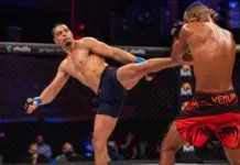 Jungle Fight