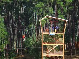 City Tour gratuito terá passeio pelo Parque Alberto Simões neste sábado em São José Parque Alberto Simões