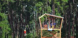 City Tour gratuito terá passeio pelo Parque Alberto Simões neste sábado em São José Parque Alberto Simões