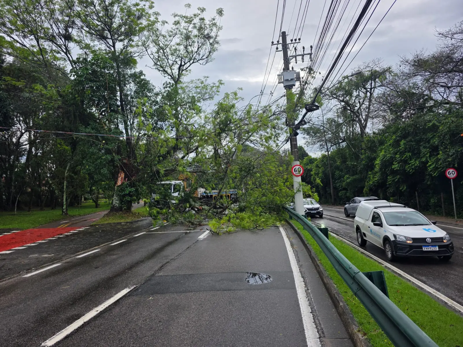 Queda de árvore Av. Linneu de Moura Queda de árvore Av. Linneu de Moura