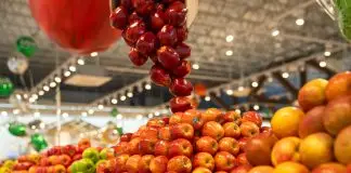 Nova unidade do Oba Hortifruti será inaugurada no Urbanova nesta sexta-feira (19) Oba