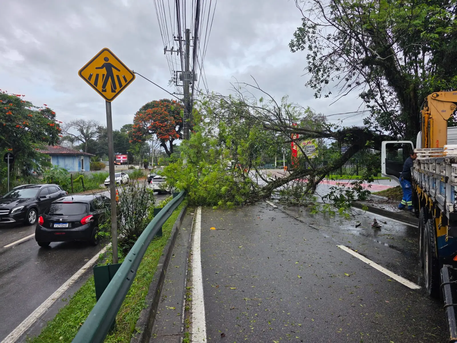 Árvore caída na Av. Linneu de Moura Árvore caída na Av. Linneu de Moura