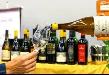 Festival Vinhos de Biciclieta