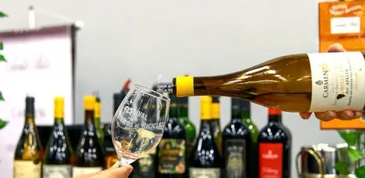 Festival Vinhos de Biciclieta