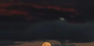 Lua de Morango