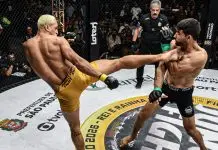 Fight do Milhão