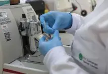SUS passa a oferecer novo tratamento para pacientes com leucemia mieloide aguda leucemia mieloide