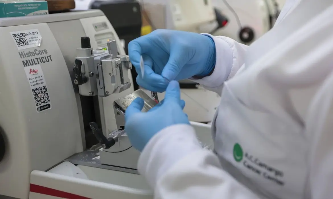 leucemia mieloide leucemia mieloide