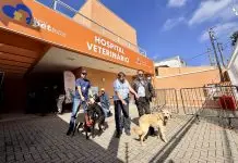Hospital veterinário