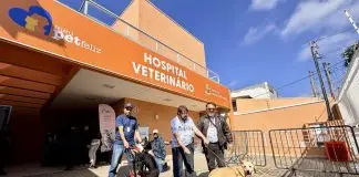 Hospital veterinário