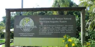 Inscrições para o Conselho Gestor do Parque Augusto Ruschi começam na segunda (20) Parque Augusto Ruschi
