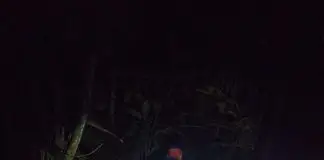 Bombeiros resgatam idoso após AVC em área de difícil acesso em Ubatuba Bombeiros resgatam idoso em Ubatuba
