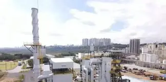 Bayer