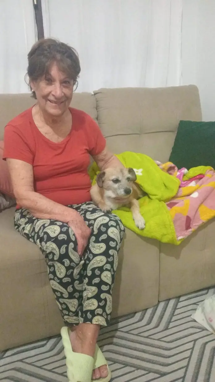 Cadela é resgatada no Urbanova Cadela é resgatada no Urbanova