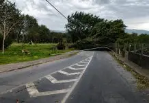 Ventos fortes afetam o estado de SP