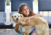 Primeira feira itinerante de pets | Parque Ribeirão Vermelho