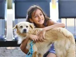 Primeira feira itinerante de pets | Parque Ribeirão Vermelho