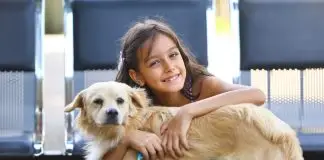 Parque Ribeirão Vermelho receberá primeira feira itinerante de adoção de cães e gatos neste sábado (4) Primeira feira itinerante de pets | Parque Ribeirão Vermelho