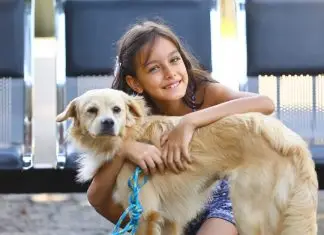 Parque Ribeirão Vermelho receberá primeira feira itinerante de adoção de cães e gatos neste sábado (4) Primeira feira itinerante de pets | Parque Ribeirão Vermelho