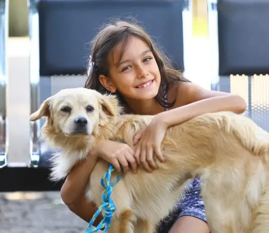 Primeira feira itinerante de pets | Parque Ribeirão Vermelho