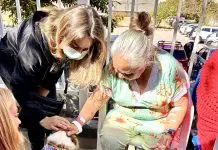 Cãoterapia ajuda a aliviar ansiedade de pacientes em hospital de São José Cãoterapia