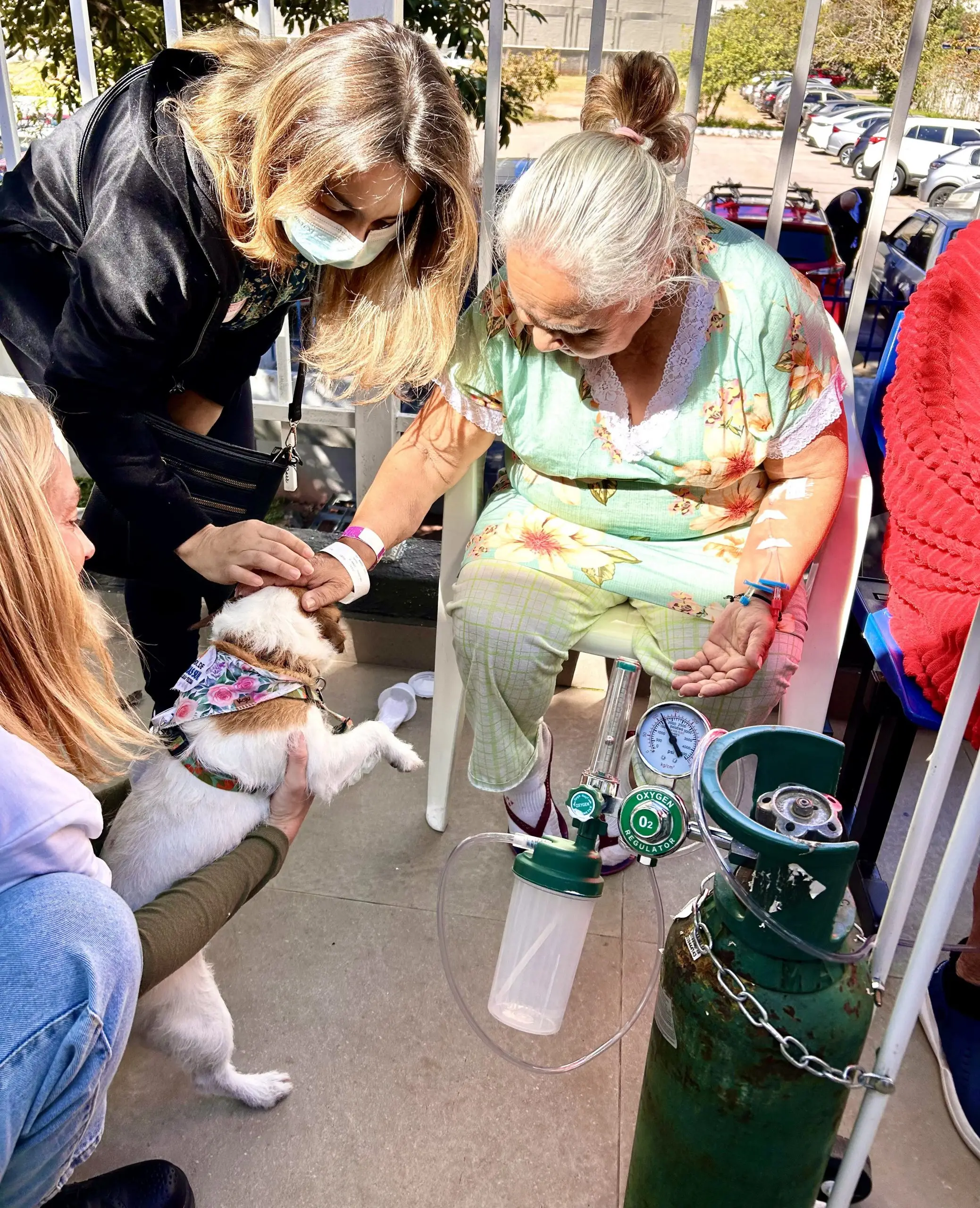 Cãoterapia Cãoterapia