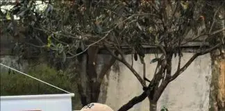 Ana Carolina Oliveira participará de palestra gratuita sobre combate ao abuso infantil em São José Ana Carolina Oliveira | Projeto Silêncio que Grita