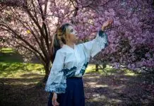 Cerejeiras seguem floridas em Campos do Jordão; temporada termina no fim de agosto Parque da Cerejeira