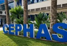 cephas