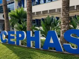 cephas