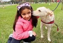 Jardim Aquarius receberá feira de adoção com vacinação e microchipagem gratuitas Feira de adoção | Pets | Jardim Aquarius