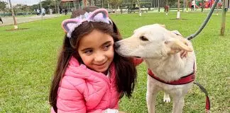 Feira de adoção | Pets | Jardim Aquarius
